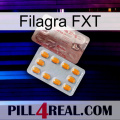 Filagra FXT new13